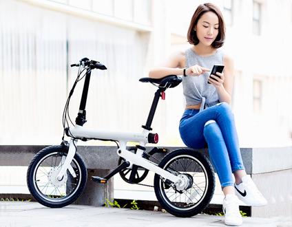 Electric Bicycle