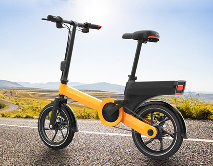 Electric Bicycle